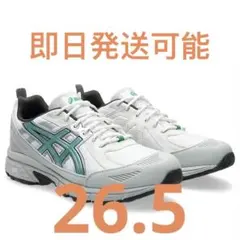 定価以下❗️ Hidden NY Asics Gel-Venture 6のサムネイル