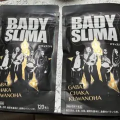 更に値下BADY SLIMA パティスリマ 120粒入 ダイエットサプリ2袋のサムネイル