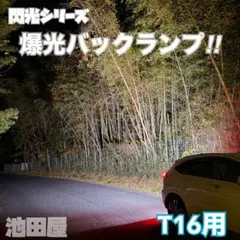 AIKO様 リクエスト 3点 まとめ商品