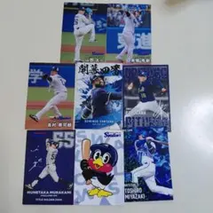 プロ野球チップスカード2025 ヤクルト 8枚セット