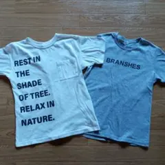 ブランシェスTシャツ 2枚セット