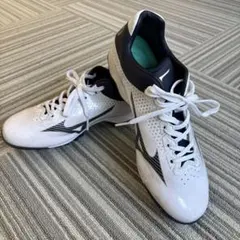 Nike 野球スパイク　オーダーメイド28.5㎝　新品未使用 Nike 野球スパイク オーダーメイド28.5㎝ 新品未使用 2025年最新