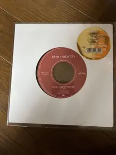The Rebirth / Evil Vibrations 7inch レコード - メルカリ