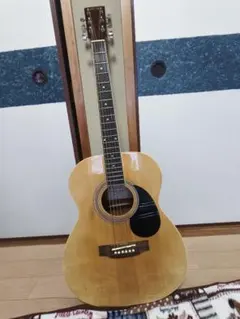 アコースティックギター ドレッドノート型