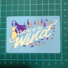 ディズニー100 ワンダーカードコレクション ポカホンタス