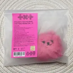 TXT TOGETHER サノク テヒョン ダゴニャン 特典 ソンムル - メルカリ