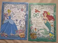 東京ディズニーリゾート クリアファイル セット