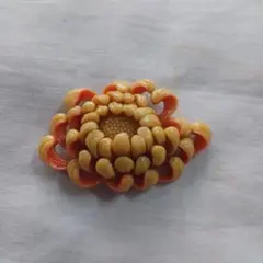 Item thumbnail for item 34b1480c-cdde-47ba-ab9a-ba09db2be4dc