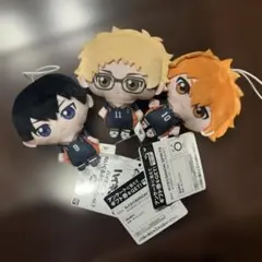 新品未使用 ハイキュー!! ぬいぐるみちゃーむvol.1