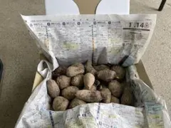 ふるる様 リクエスト 2点 まとめ商品