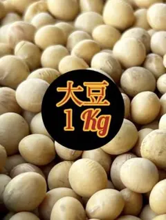 専用品 大豆(ゆきほまれ) 十勝産 1kg+1割増量 - メルカリ