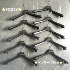 極美品③⭐️FOXEY⭐️ハンガー10本set⭐️フォクシー