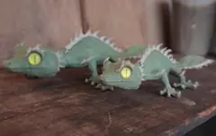 2025年最新】オズワート ozwrtの人気アイテム - メルカリ