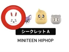 POPMART MINITEEN シークレット ヒポチ エスクプス