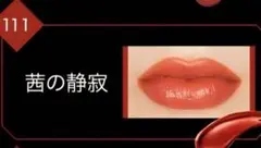 【限定】KATE リップモンスター 111