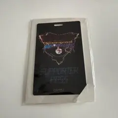 エレクトロニック・ワンダー サポーターパス