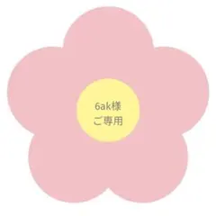 6ak様　ご専用