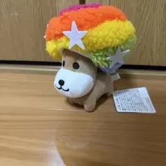 未使用　アフロ犬　ぬいぐるみ