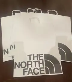 大ショッパー THE NORTH FACE ノースフェイス) 紙袋 ショップ袋