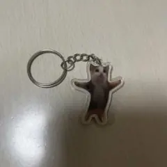 猫ミームアクリルキーホルダー