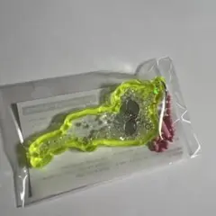 湖北みずどりステーション 黄色 イエロー びわ湖キーホルダー 琵琶湖 魚チャーム