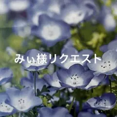 みぃ様 リクエスト 4点 まとめ商品