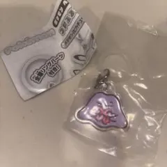 ポケモン　へんしんが苦手なメタモン　つやふるチャーム　メタモン　ピカチュウ