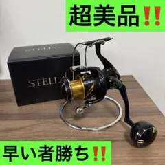 2026年最新】ステラ SW5000HGの人気アイテム - メルカリ