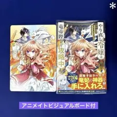 やり直し令嬢は竜帝陛下を攻略中 10 アニメイト特典付