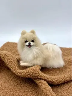 羊毛フェルト クッションでくつろぐ白ポメ ポメラニアン - メルカリ