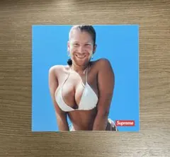 Supremeシュプリーム ステッカーAphex TwinWindowlicke