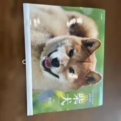 Item thumbnail for item cecb513c-210f-40c0-a0b1-ab3d9eee95a7