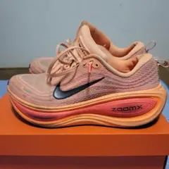 Item thumbnail for item 8474811d-a0ec-4eeb-bd53-cfeecf6b5a18