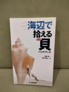 海辺で拾える貝ハンドブック