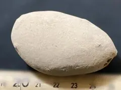 くこゆゆ様 リクエスト 2点 まとめ商品