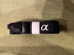 Item thumbnail for item 70d8b2f5-3259-48f5-a0c4-e66e1e5bba73