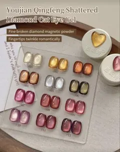 まとめ売りお得！マグネットジェルネイルポリッシュ 12色セット