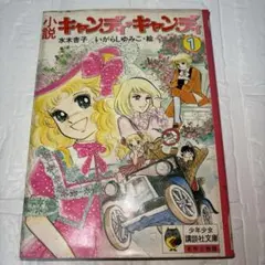 キャンディキャンディ アンソニー 絵本 いがらしゆみこ 水木杏子