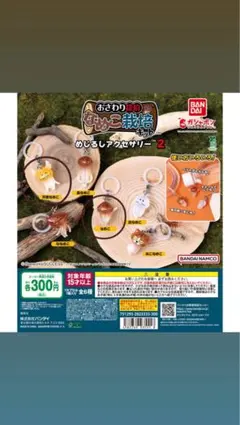 なめこ栽培キットめじるしアクセサリー2.2個セット