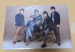 嵐　クリアファイル（LOVE Live Tour 2013）