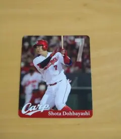 Item thumbnail for item 8ad2241a-4ff3-446c-8429-4731962e9d45