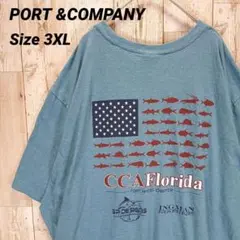 90sUS古着 CCA Florida 魚 星条旗 バックプリントTシャツ 水色のサムネイル