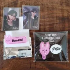 StrayKids スキズ チャンビン Changbin 5-STAR 2023