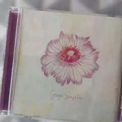 グレープ Grape Sensation CD