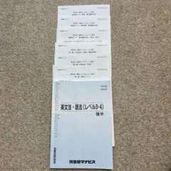 河合塾マナビス　英文法・語法 (レベル3・4) 後半
