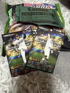 プロ野球チップス　福岡ソフトバンクホークス　牧原大成　モイネロ