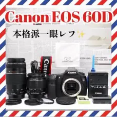 ⭐️ダブルレンズセット⭐️Canon EOS 60D キャノン デジタル一眼