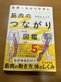 筋肉のつながり図鑑 きまたりょう KADOKAWA