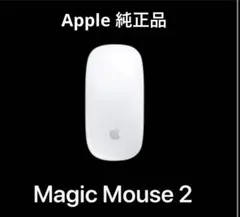 送料別 Apple Magic Mouse 2 (lightning)