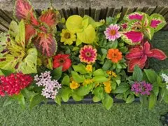 どっと てんてん様 リクエスト 2点 まとめ商品